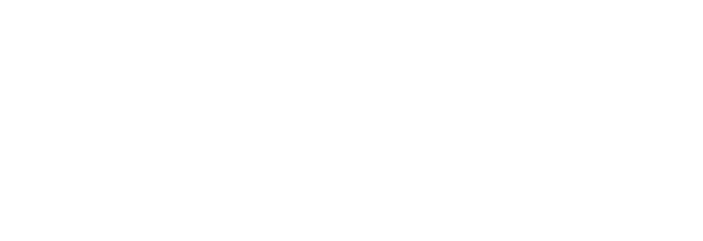 CushCore