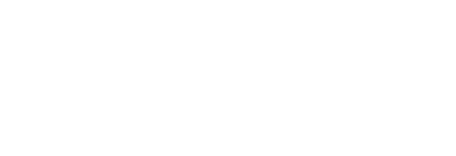 Enduro Bearings